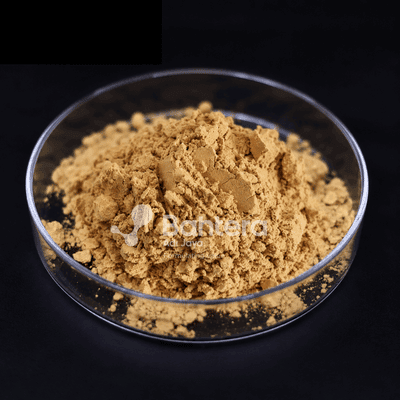 Fenugreek Extract
