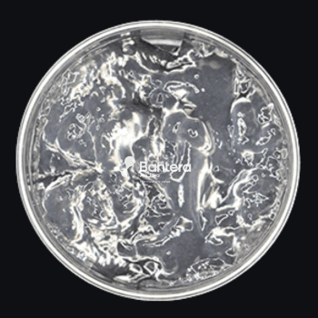 Hydrasensyl Glucan Green